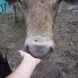 Meet your Posher, Cinnamon